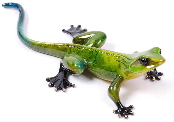 Kona of Tim Cotterill